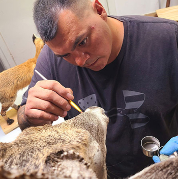 el-cazador-taxidermist